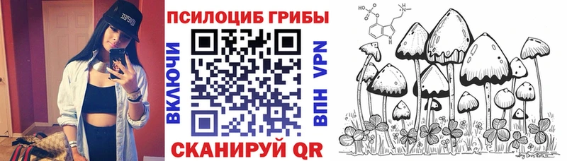 Галлюциногенные грибы Magic Shrooms  Донецк 